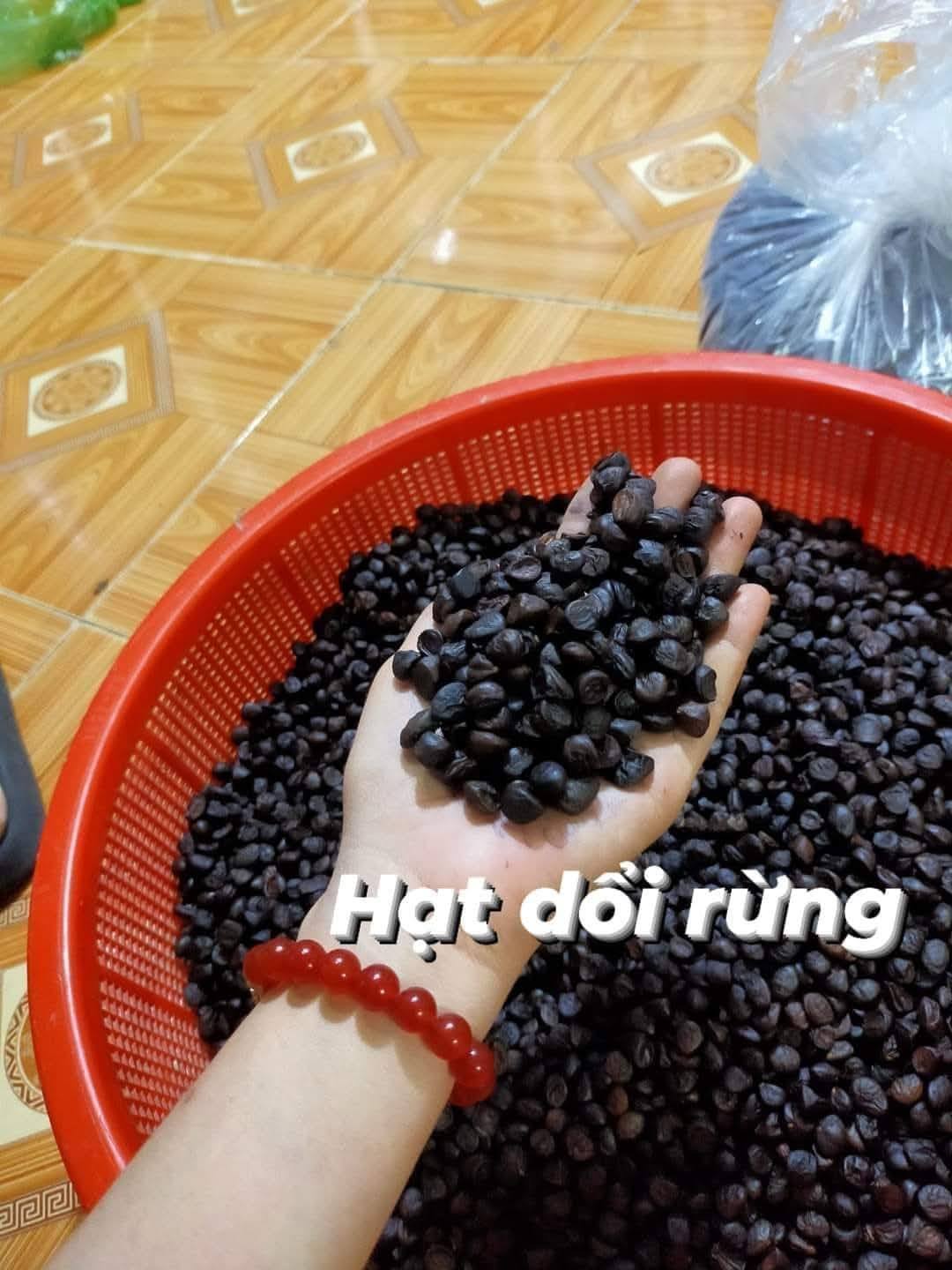 Hạt dổi rừng(80k/1 lạng)
