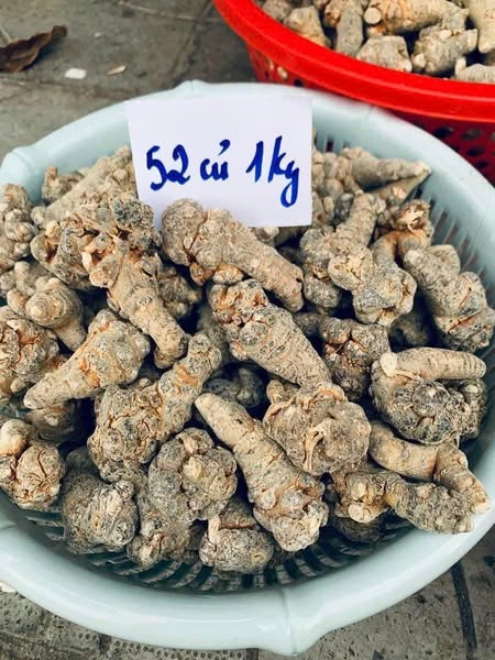 Tam Thất Bắc Khô(Củ nhỏ 880k)