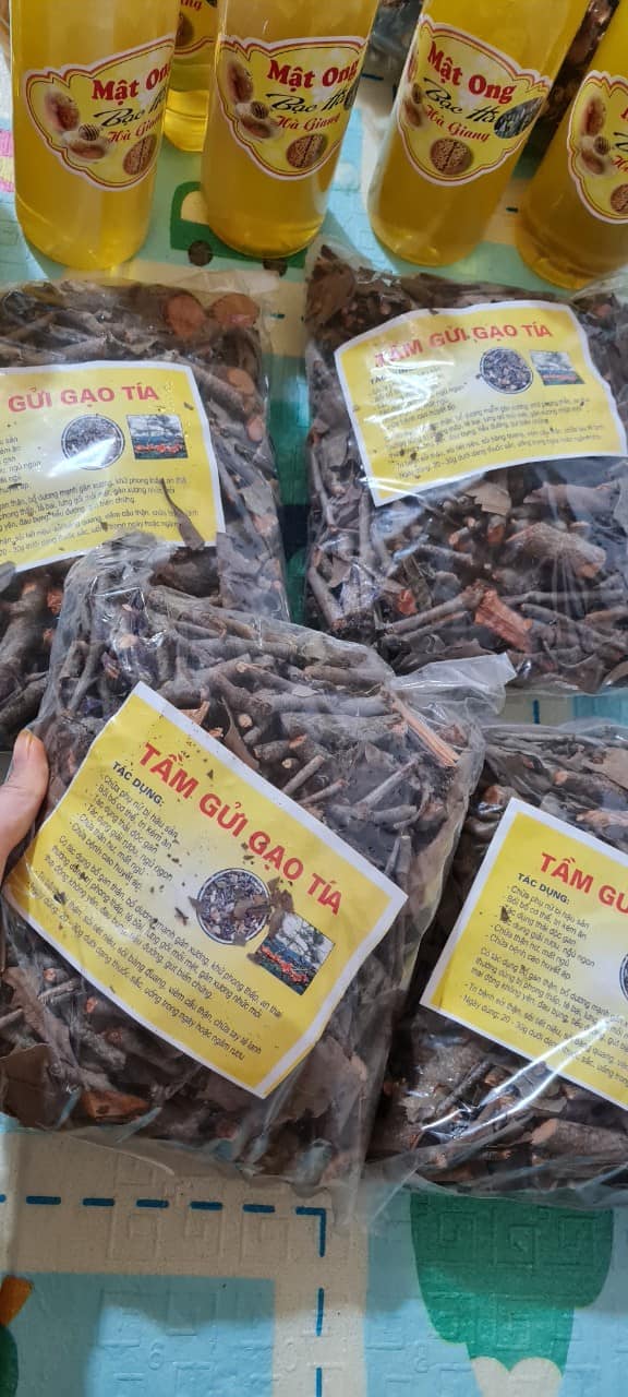 Tầm gửi gạo tía (250kg/1kg)